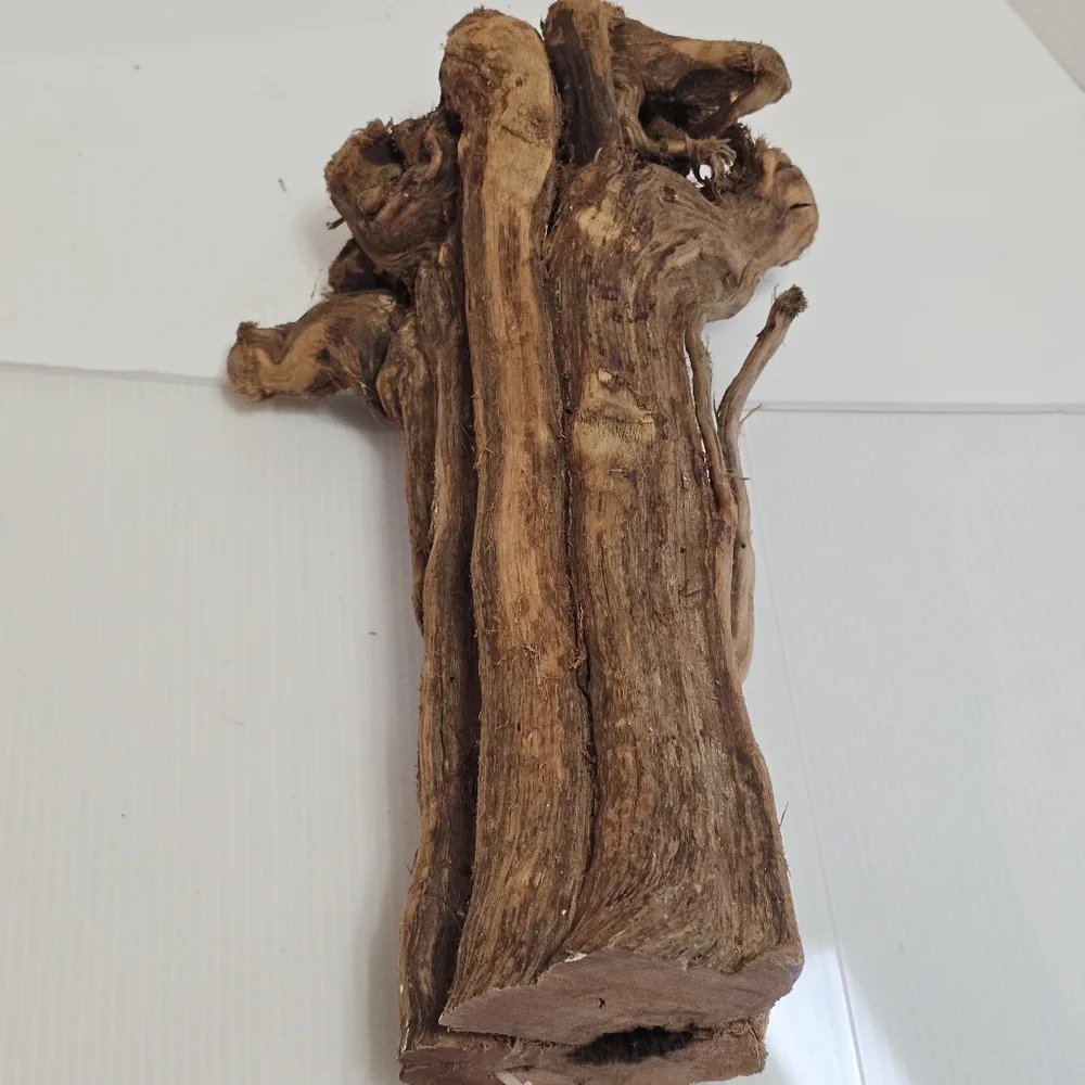 All Living Things Reptile Driftwood
